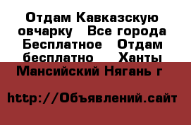 Отдам Кавказскую овчарку - Все города Бесплатное » Отдам бесплатно   . Ханты-Мансийский,Нягань г.